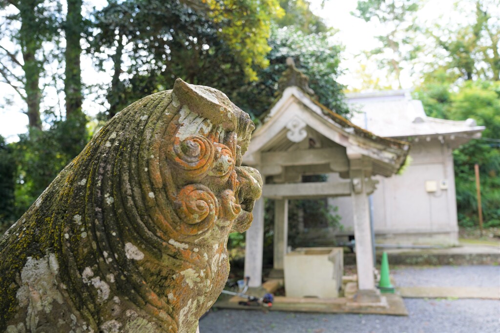 守ってね