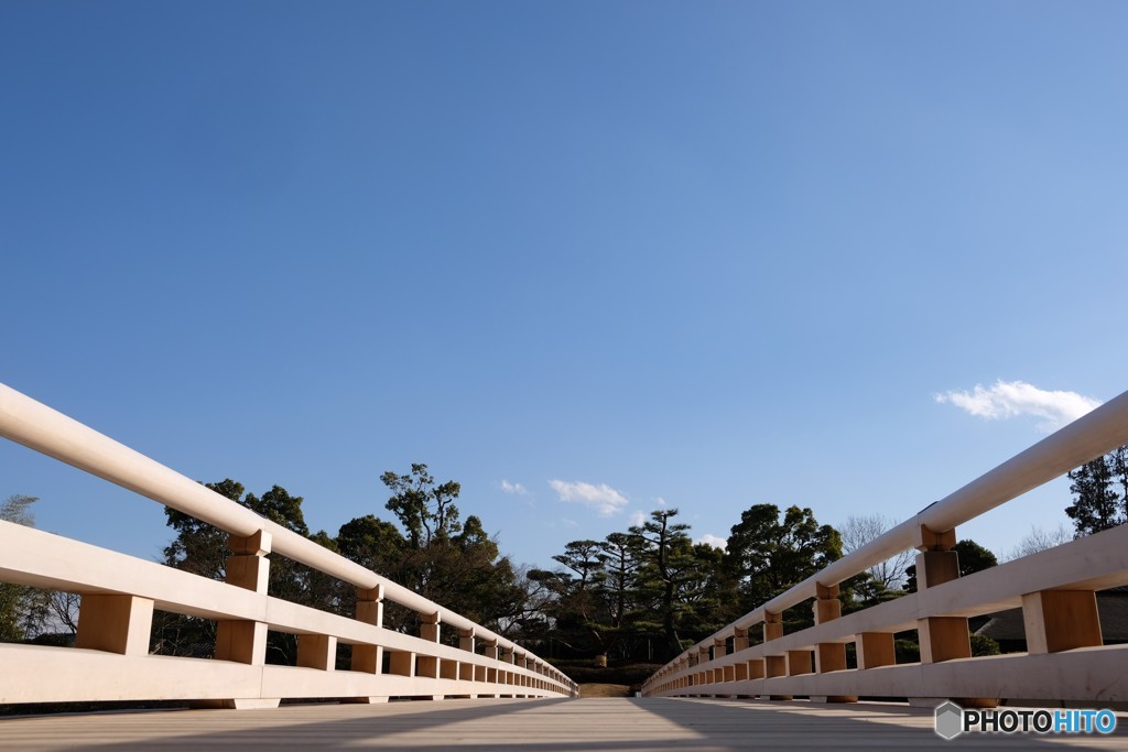 昭和記念公園　2018