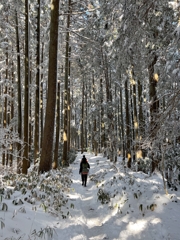 雪道