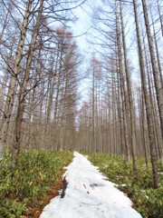 雪道登山