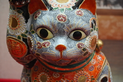 近江市場に猫