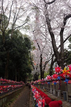 増上寺