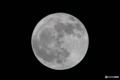 FULL MOON