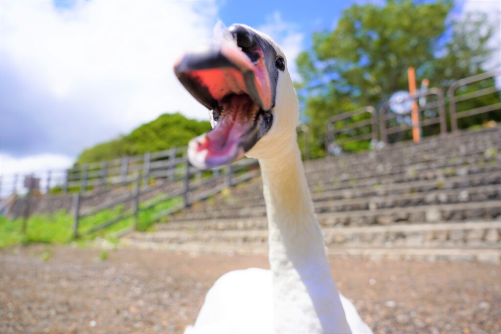 飛沫飛ばしてないから～