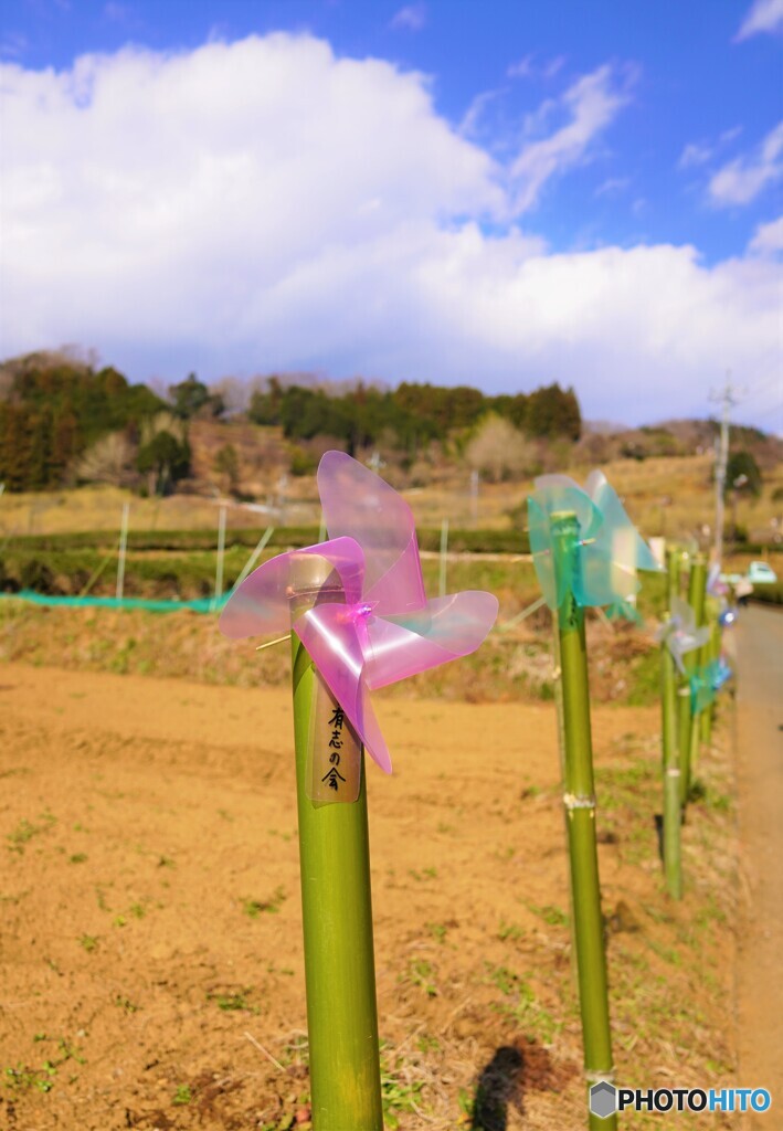蝋梅園