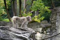 あっちか