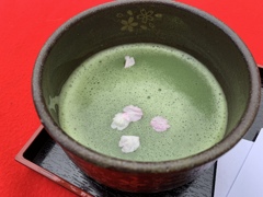 春のお茶