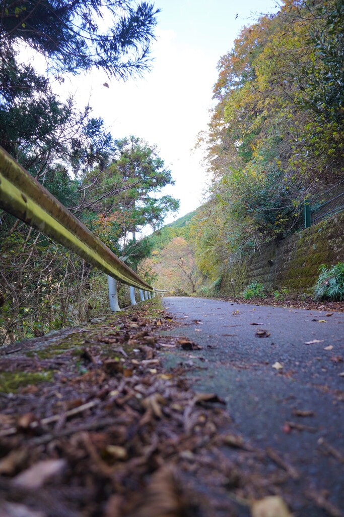 道