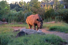 夜の動物園はサイコ～！！！
