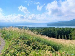 山中湖のパノラマ台