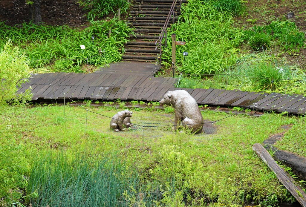 クマったもんだ