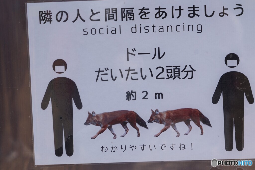 なんか襲われたら危ないのでもっと離れるし～