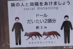 なんか襲われたら危ないのでもっと離れるし～