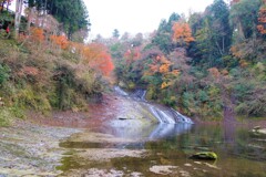 関東最後の紅葉？