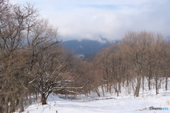 陣馬山　2018