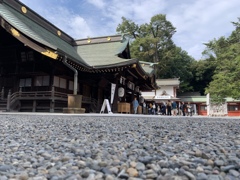 大国魂神社のローアングル