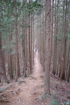 道