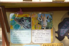 キリンさんのプロフィール