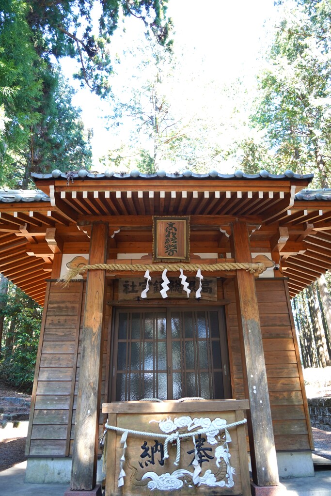 素敵な神社　どこでしょう？