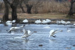 パパより先に足着いちゃった！　鳥人間コンテストだったら負けだ～