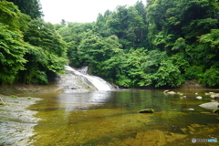 養老渓谷