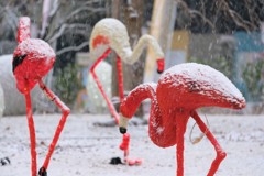 雪の動物園