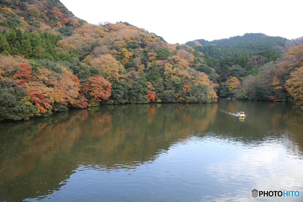 亀山湖　紅葉狩り　紅葉