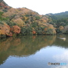 亀山湖　紅葉狩り　紅葉
