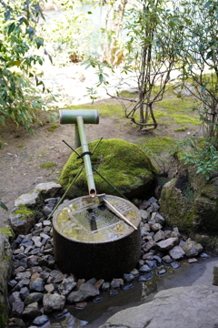 枯山水の裏にあり水がタプタプ