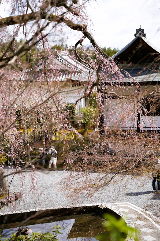 京都