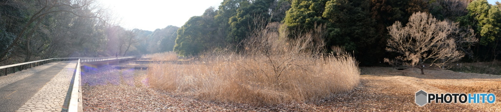 四季の森公園
