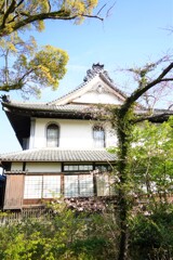 掛川