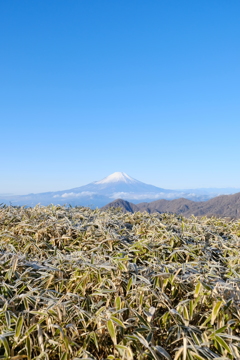 丹沢からの富士