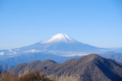 丹沢からの富士