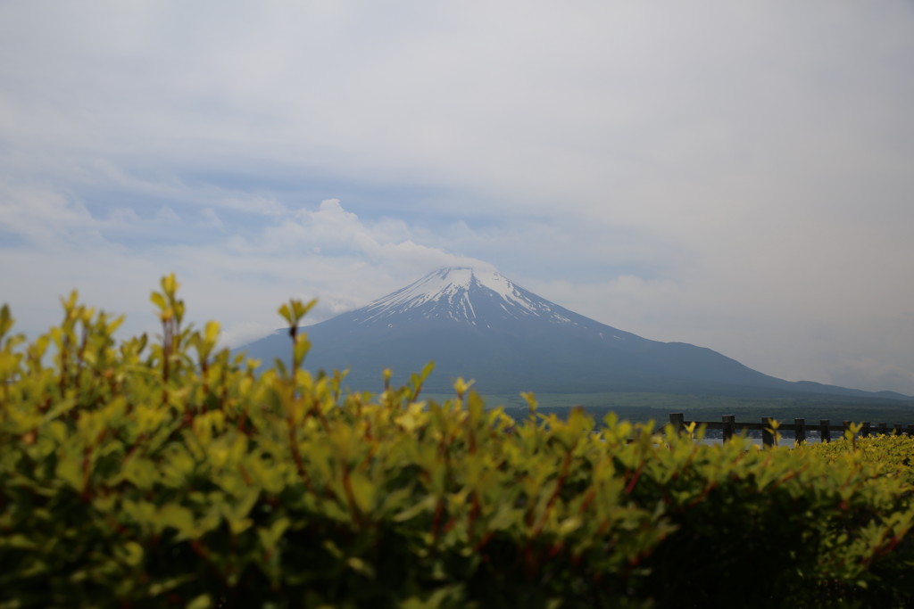富士山