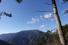 遠きに