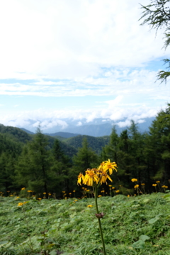 雲取山
