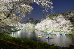 千鳥ヶ淵の散歩