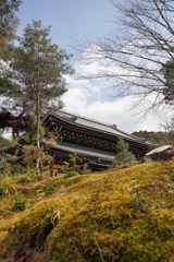 京都にて