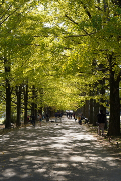 昭和記念公園