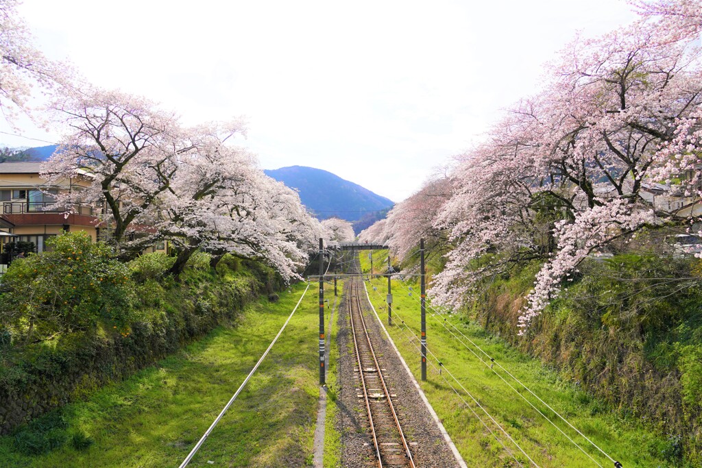 山北にて