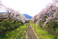 山北にて