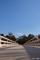 昭和公園 2018