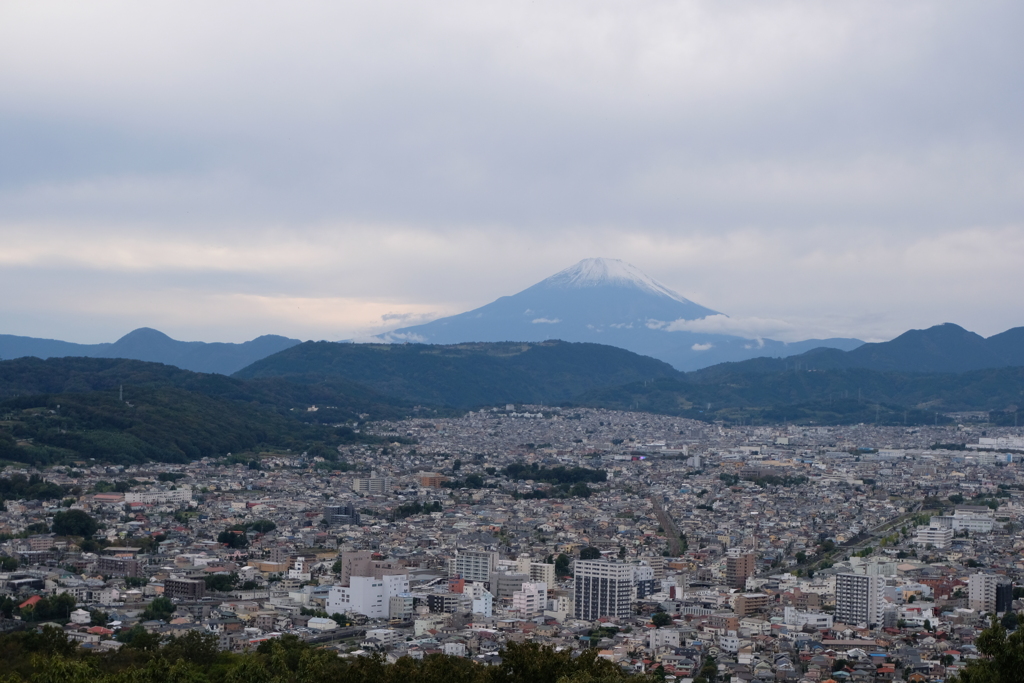 秦野市街と富士山