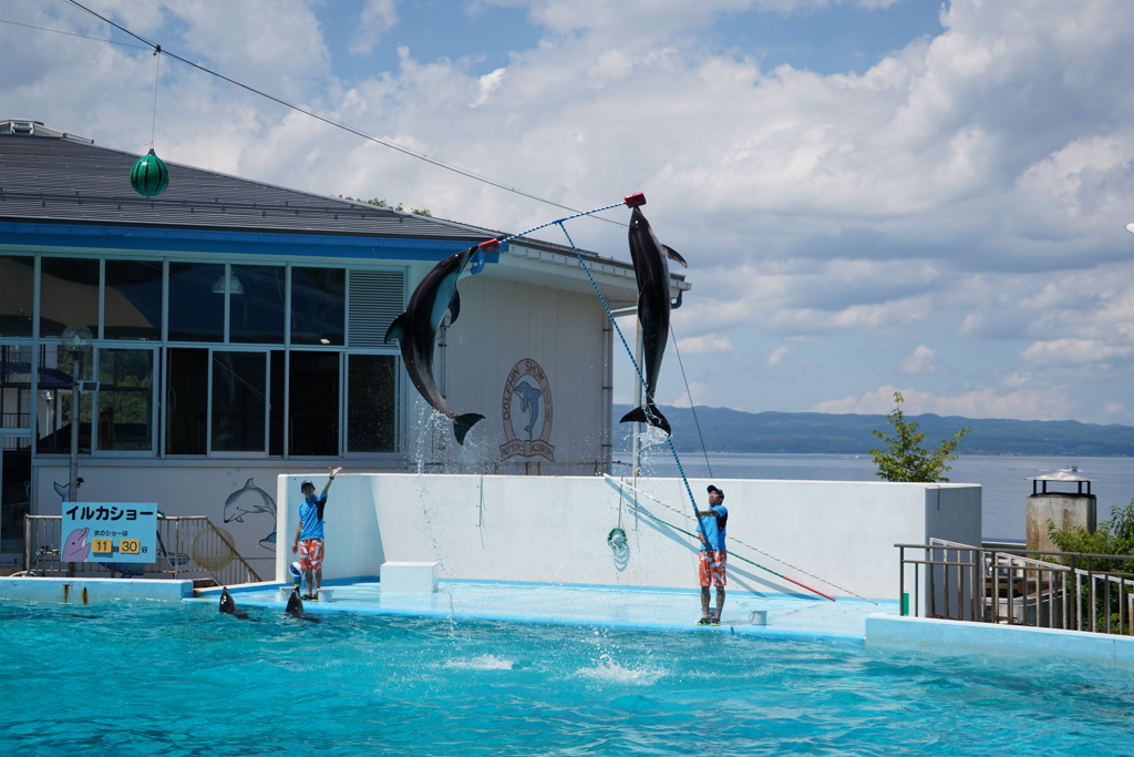 七尾の水族館