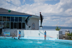 七尾の水族館