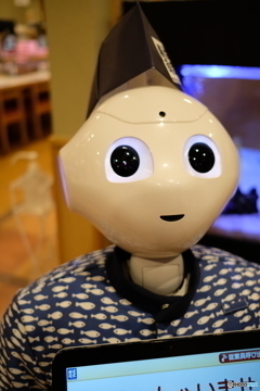 ペッパー君