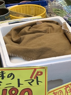 頭隠して耳隠さず