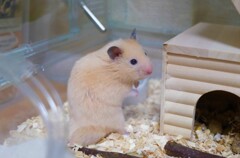 なにかありましたか？