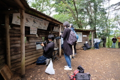 人間観察小屋　こっちは近づいても逃げないぞｗ
